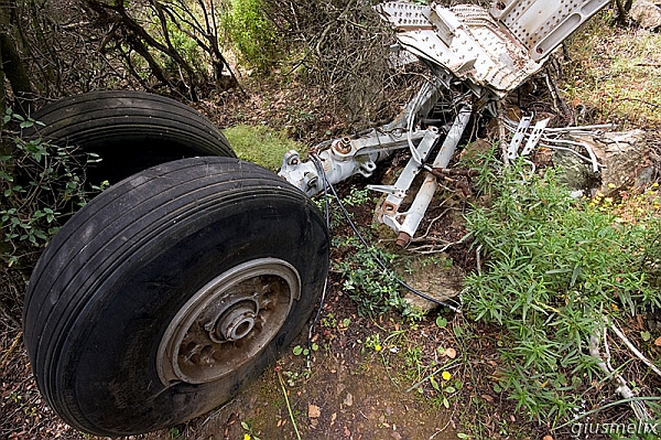 Carrello anteriore (40D_7301_1rid).jpg